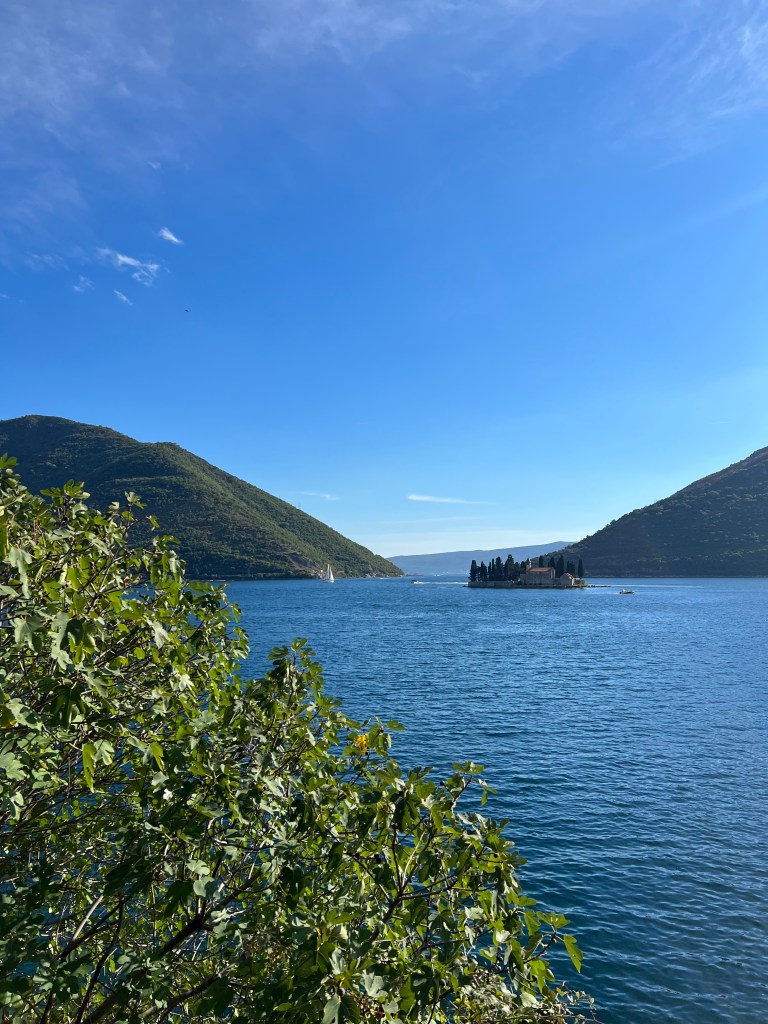 A view over the bay of Kotor with mountains and a small island in the background and a bush and water in the foreground. 
