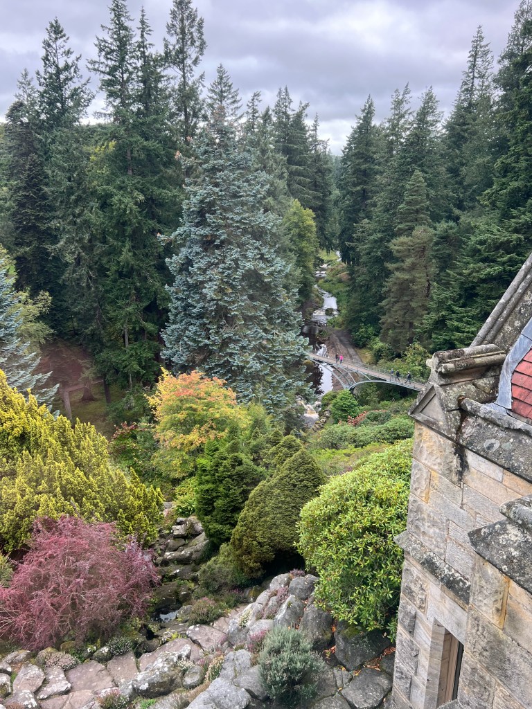 A view from one of the upstairs windows of a corner of the house with the iron bridge, trees and the rock garden in the background. 