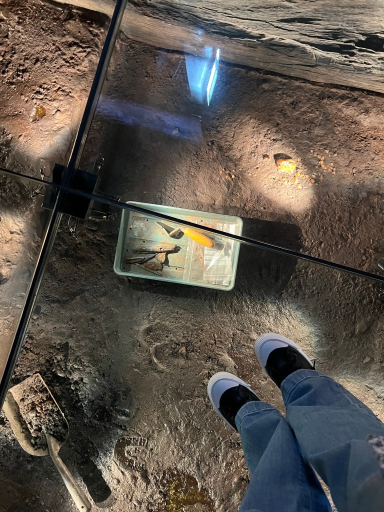A floor shot showing a pair of feet wearing black and white trainers stood on a glass floor. Under the floor is direct with a tray of tools. 