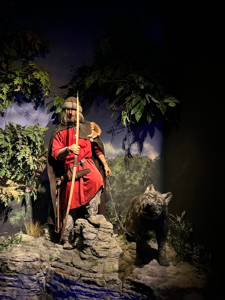 A wax mannequin of a Viking man wearing a red robe and a brown cloak. He has a grey wolf dog on a lead in one hand and a bow in his other. 