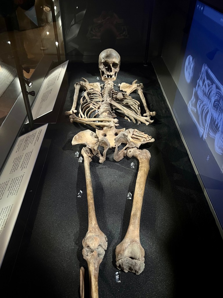 The skeletal remains of a Viking man on display in a glass cabinet. 