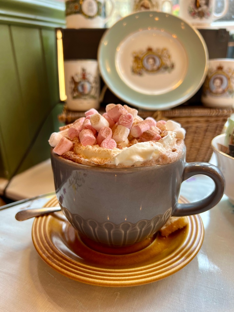 The photo shows a grey cup on a brown saucer. The cup holds a hot chocolate with whipped cream and mini white and pink marshmallows. 