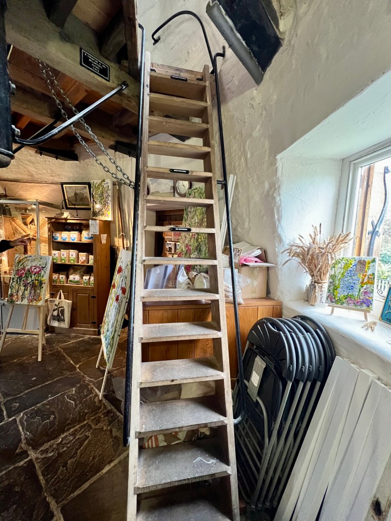 The photo show the steep, ladder like steps leading up to the second floor. In the background is a stone floor and wooden shelving units. On the units are brown paper bags of flour and there are two brightly coloured floral canvases on easels in front of the shelves.