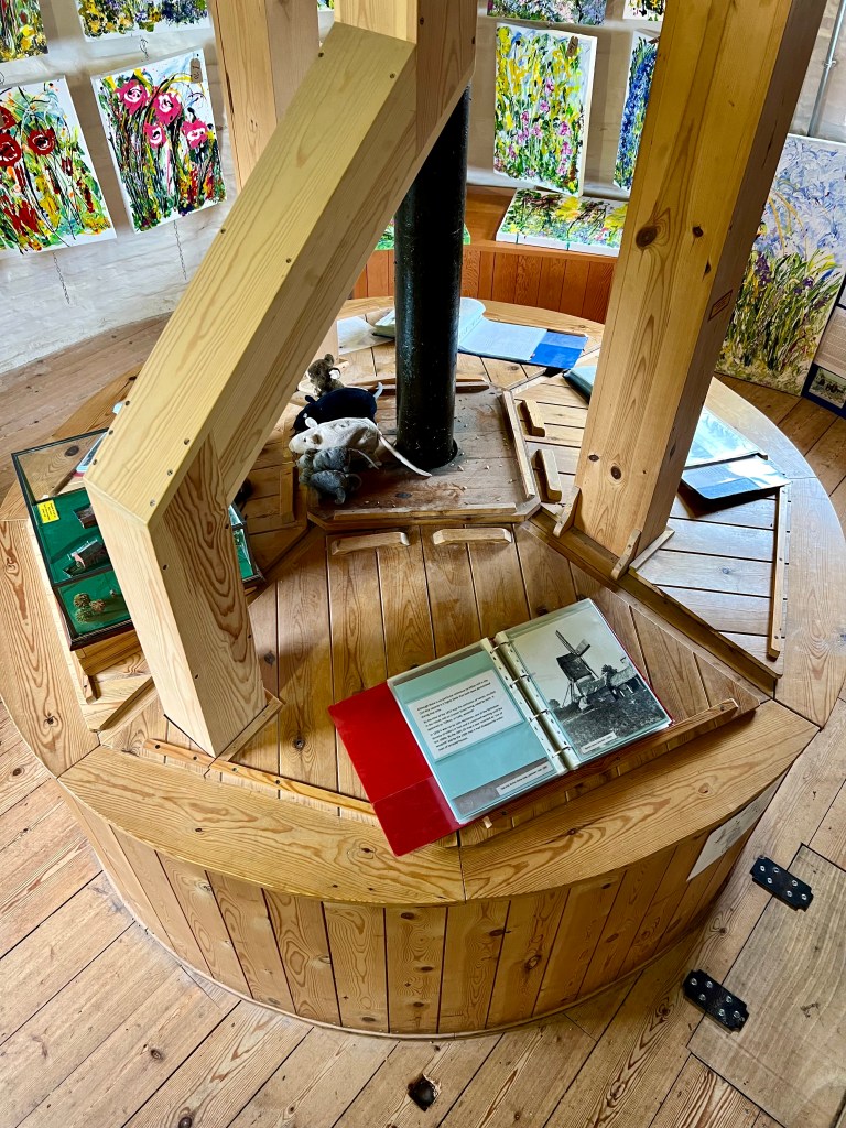 The photo is looking down on a large, round wooden bin in the middle of the room with wooden supports going in to it. On the white stone walls behind it are hung large, brightly coloured, floral canvases.