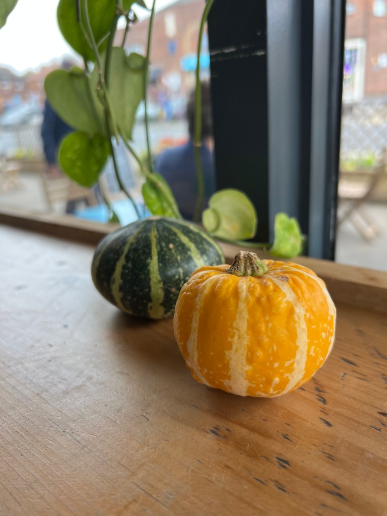 Two small pumpkins. A dark and light green striped one at the back and an orange and pale orange striped one at the front. 