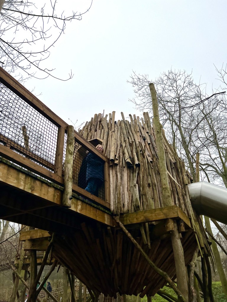One of the tree houses at Skelf Island. A slide can be see coming out of the treehouse on the right and the is a wooden walkway to the treehouse on the left. 