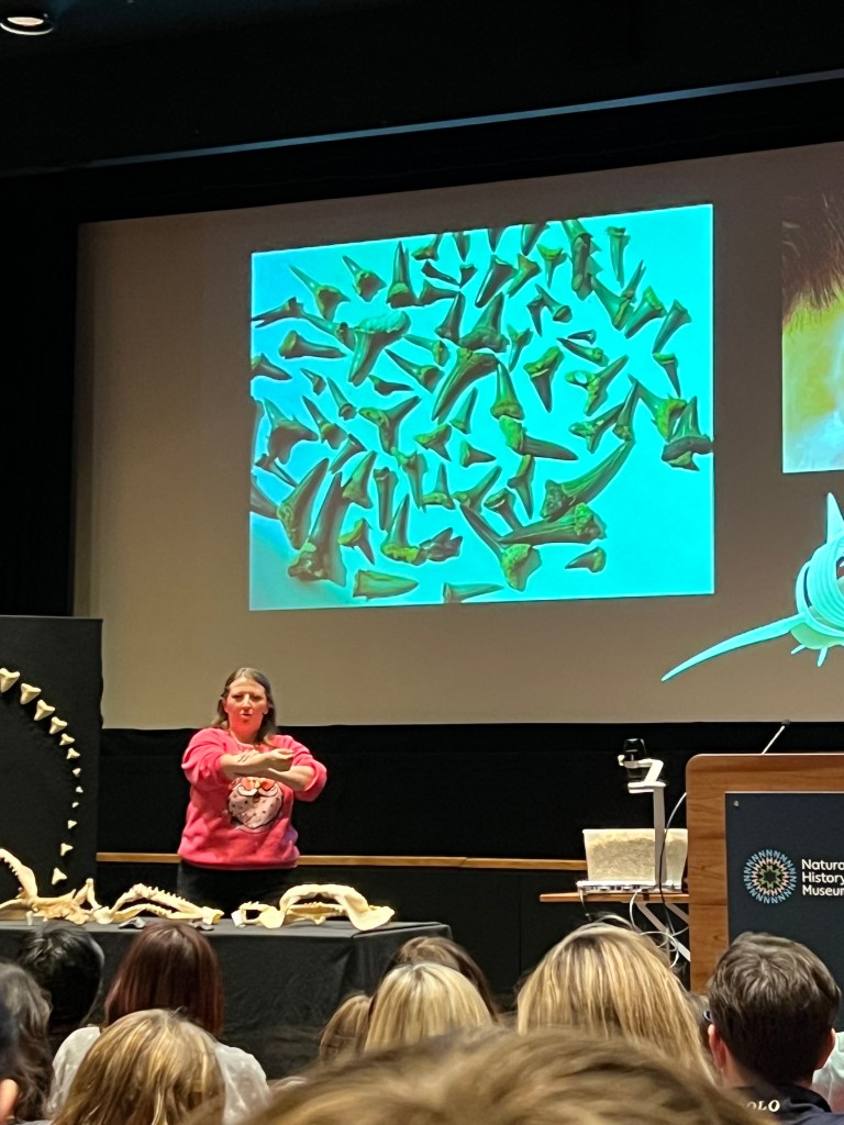 A white woman giving a presentation in front of a large screen. The photo on the screen is of shark teeth and there are shark jaws on the table in front of her.