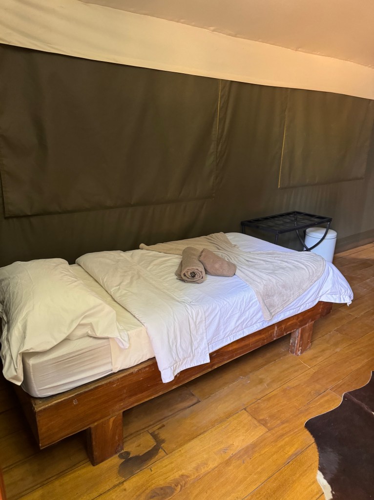 Pip's single bed in the tent. I wooden bed frame with white sheets and 2 rolled up beige towels. 