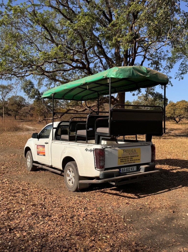 The safari vehicle. A white pick up truck with seating in the back and a green tarpaulin roof. 