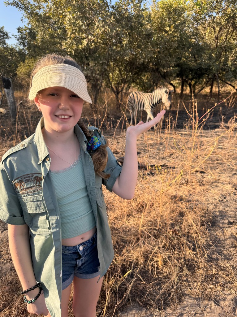 An 11 year old girl wearing her hair up  and a straw sun visor, denim shorts, a green vest top and a green safari shirt unbuttoned. She is stood in a clearing of the national park with trees behind her and a zebra. She is holding her hand up so that it looks like the zebra is sniffing her fingers. 