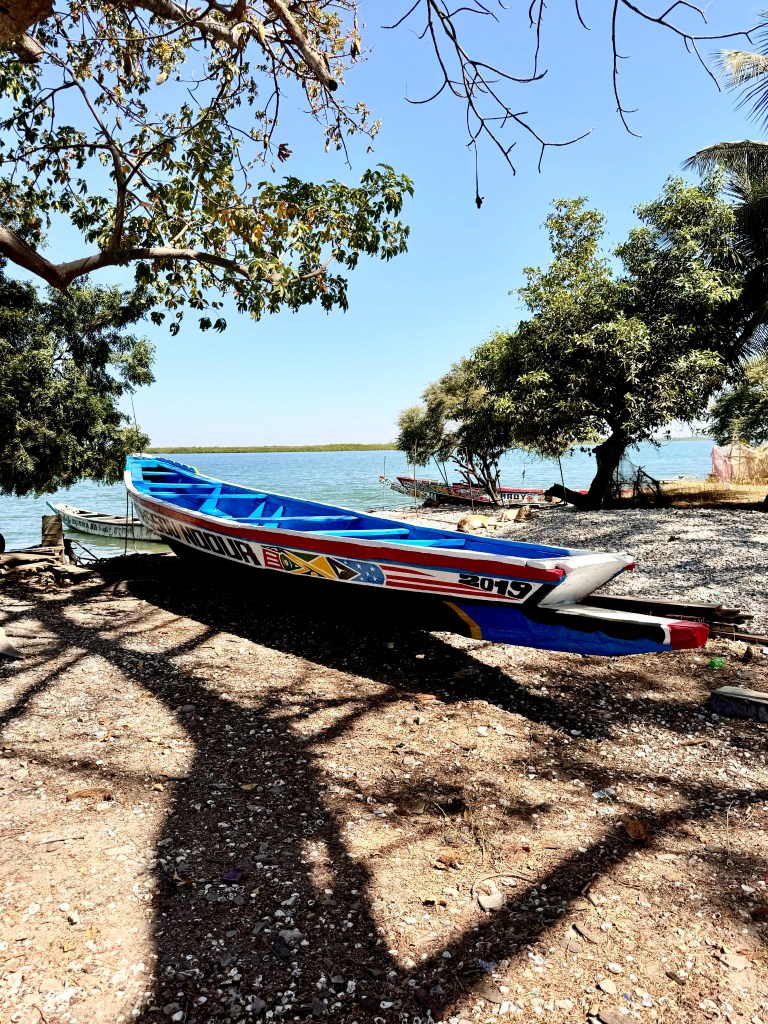 A Senegalese fishing boat painted in bright colours and with a bright blue inside is pulled up on to the shore surrounded by trees. The bright blue sea is in the background. 