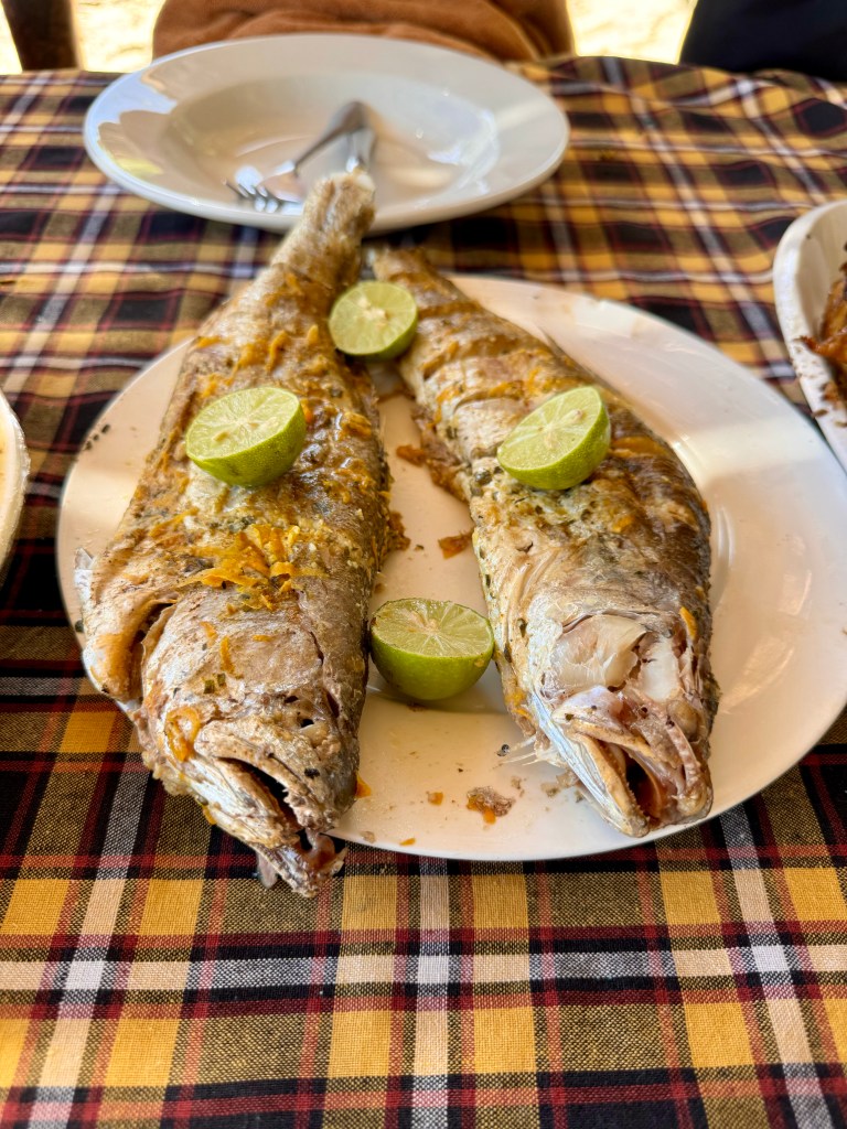 Two grilled lady fish on a white plate on a checked table cloth. The fish are decorated with slices of lime. 