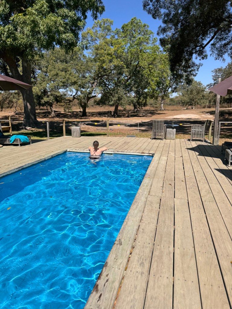 The swimming pool at Fathala, surrounded by wooden deck and with trees and a watering hole in the distance. A woman in a black swimsuit is at the far end of the pool looking out in to the distance. 