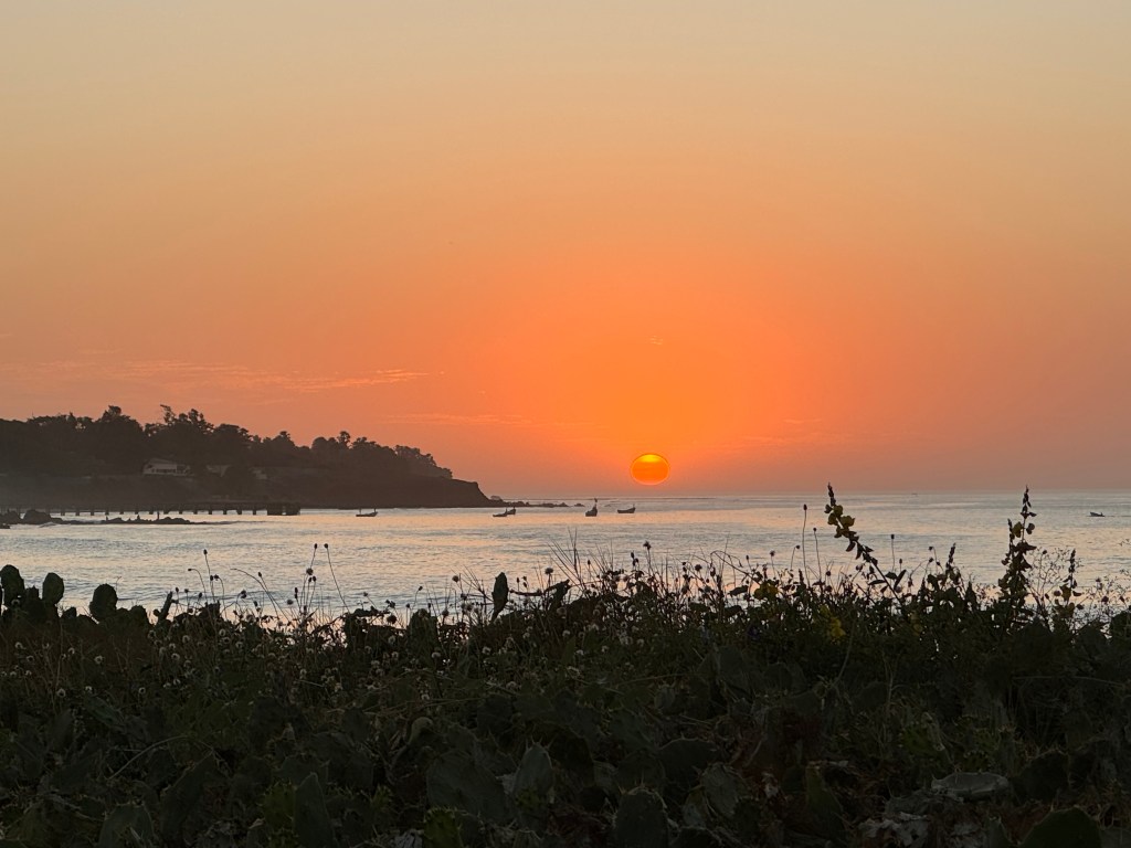 Sunset over the sea with greenery in the foreground and boats in the distance.
