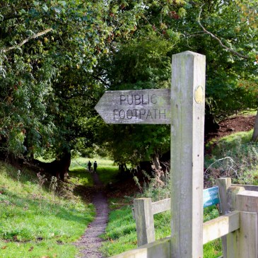 In the foreground there is a wooden footpath sign and wooden fence. In the background is a footpath winding in to the trees with two small figures in the distance.