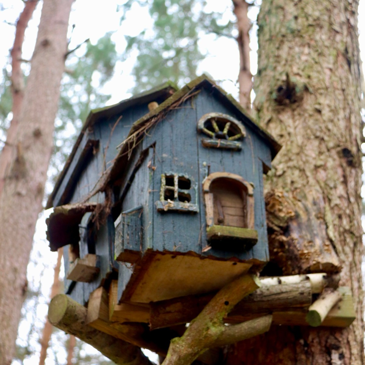 Dreamery Gardens – Lost Fairy Gardens and Fairy&nbsp;Museum